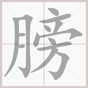 膀的笔顺,膀字笔顺