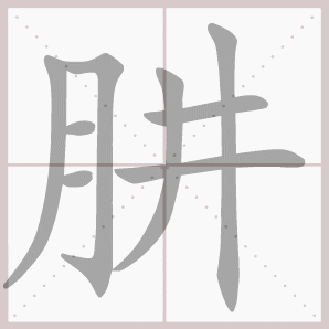 肼的笔顺,肼字笔顺
