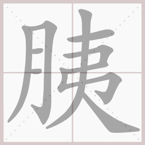 胰的笔顺,胰字笔顺